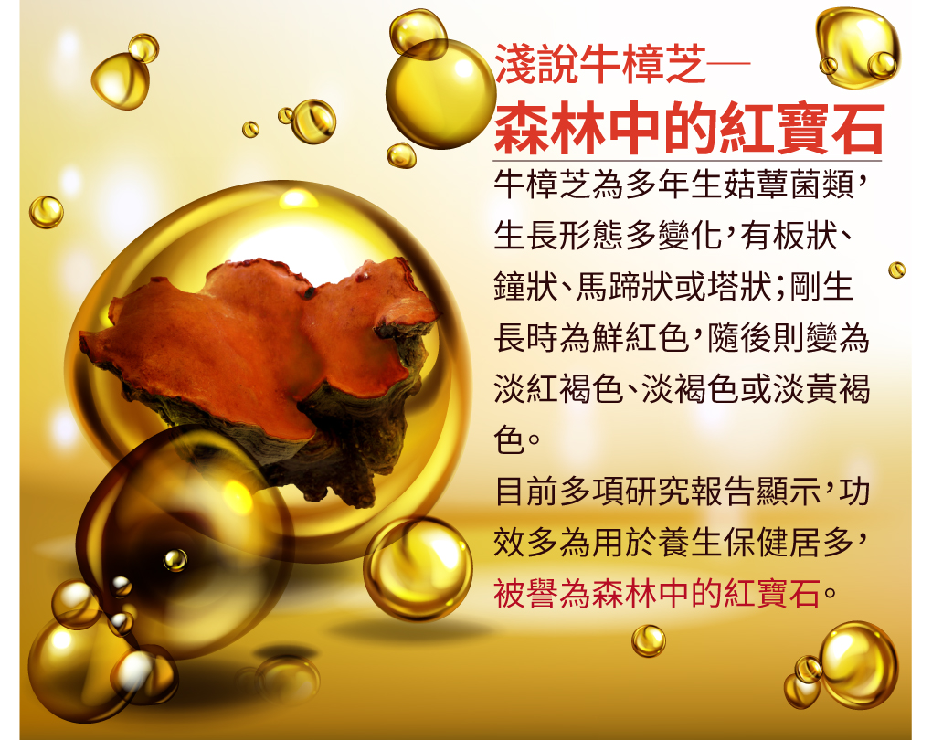 我愛簡單購 IEasyShopping 【歐萃OTREE】增益康牛樟芝菌絲體膠囊(買5送1)