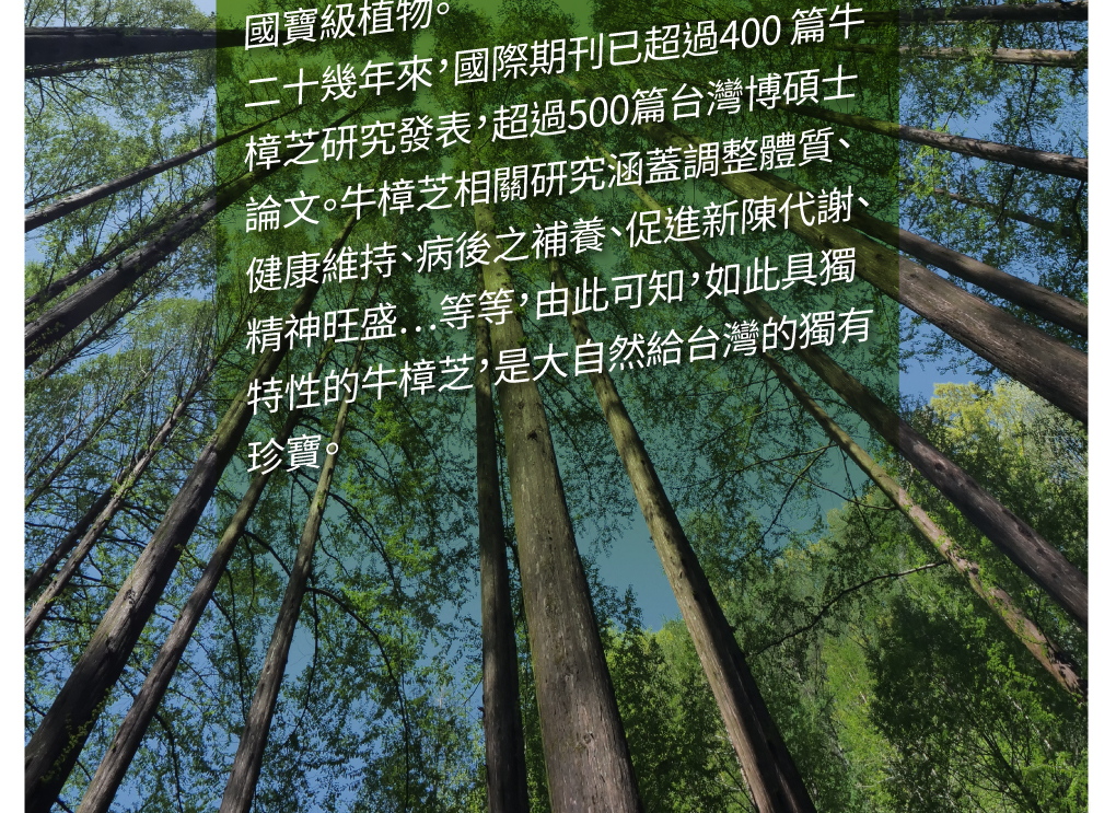 我愛簡單購 IEasyShopping 【歐萃OTREE】增益康牛樟芝菌絲體膠囊(買5送1)