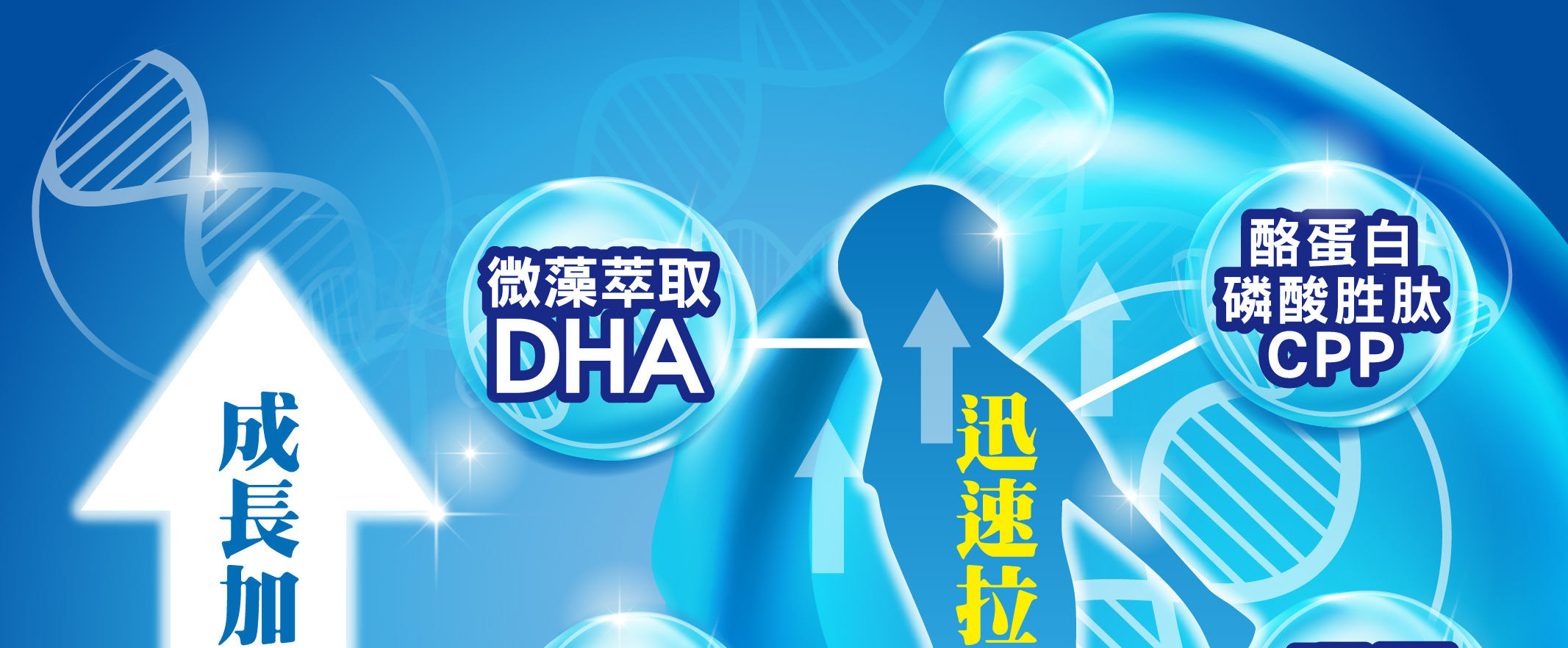 我愛簡單購 IEasyShopping 【歐萃OTREE】微分子肰珍珠鈣+膠原蛋白(12組)