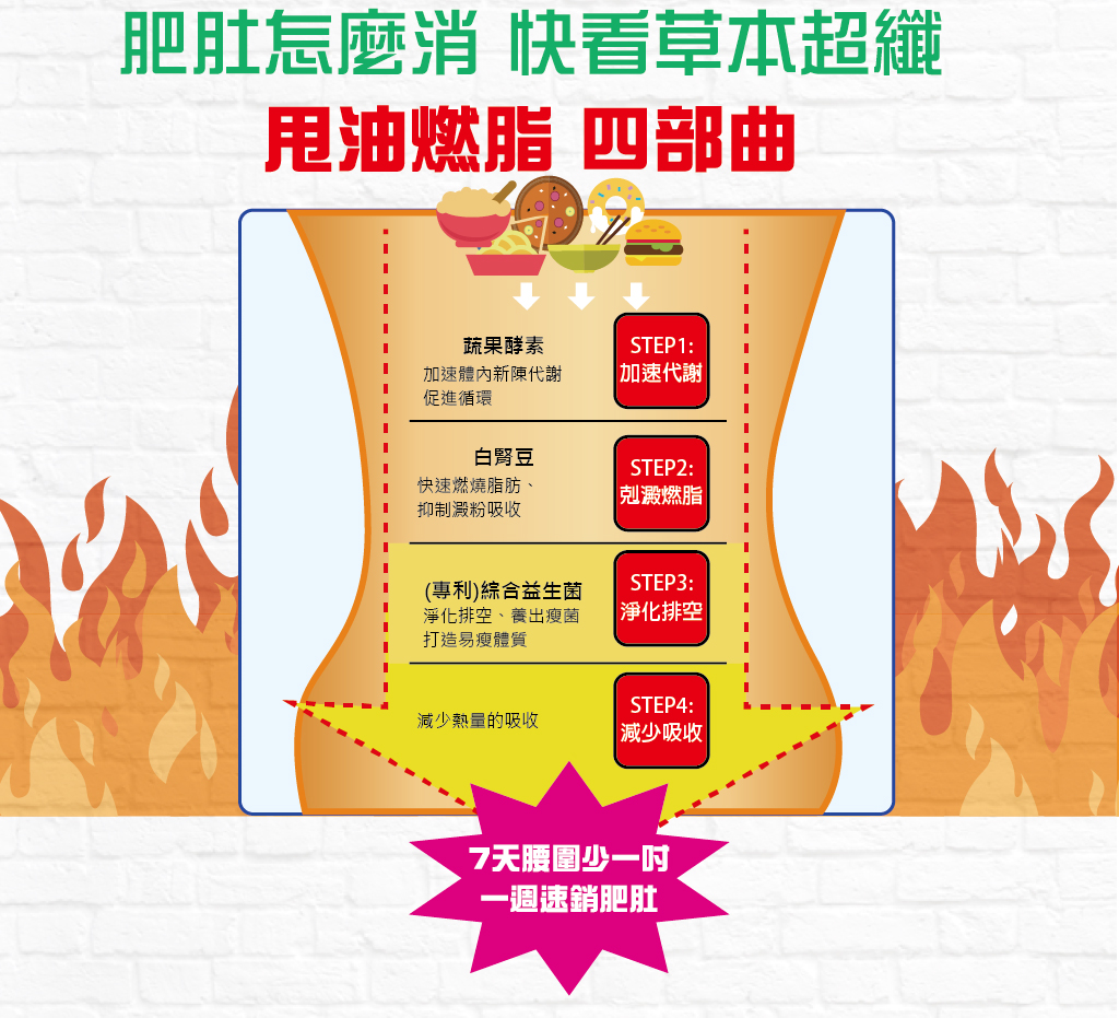 我愛簡單購 IEasyShopping 【歐萃OTREE】草本超纖膠囊(12盒)