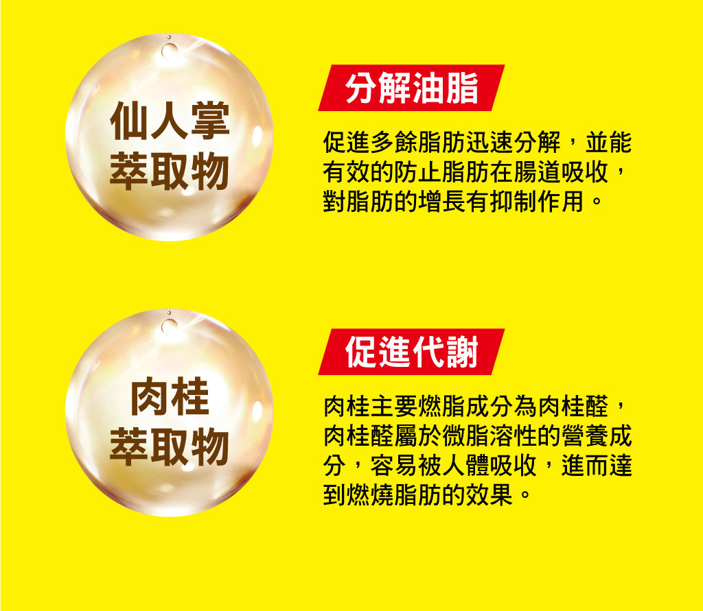 我愛簡單購 IEasyShopping 【歐萃OTREE】爆纖速窈精華(6盒)